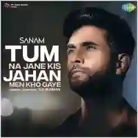 Tum Na Jane Kis Jahan Men Kho Gaye - Sanam (Band) 2021 cover image