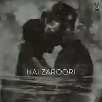 Hai Zaroori - Neha Kakkar 2024 cover image