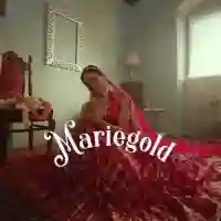 Mariegold - Curry 2024 cover image