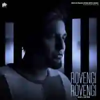 Rovengi Rovengi - Jay Dee 2022 cover image