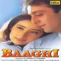 Pyar Pyar Baaghi cover image