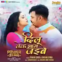 Dil Leke Bhag Jayibe - Pawan Singh 2024 cover image