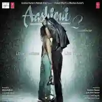 Aashiqui 2 2013 cover image