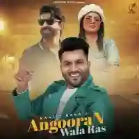 ANGOORAN WALA RAS - Ranjit Rana 2022 cover image