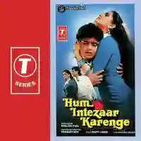 Hum Intezaar Karenge 1989 cover image