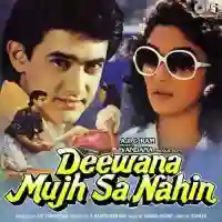 Deewana Mujh Sa Nahin 1990 cover image