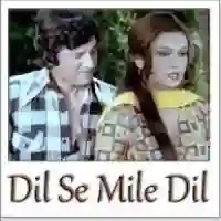 Dil Se Mile Dil 1978 cover image