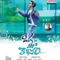 Oka Laila Kosam 2014 cover image