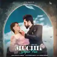 Muchh Diyan Fan - Awais Ali Awaisu 2021 cover image