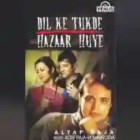 Dil Ke Tukde Hazaar Huye 2000 cover image