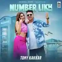 Number Likh - Tony Kakkar 2021 cover image