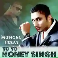 Musical Treat By Yo Yo Honey Singh 2013 cover image