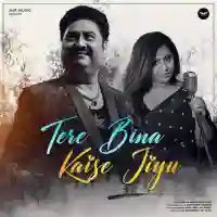 Tere Bina Kaise Jiyu - Kumar Sanu 2021 cover image