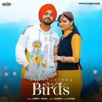 Love Birds - Amrey Sidhu 2021 cover image