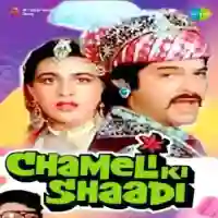 Chameli Ki Shaadi 1986 cover image