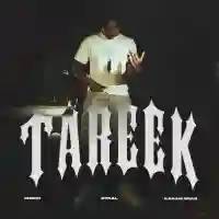 Tareek - OtaaL 2024 cover image