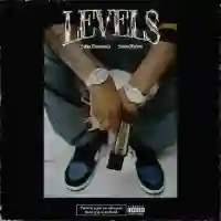 Levels (feat. Sunny Malton) - Sidhu Moose Wala cover image