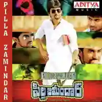 Pilla Zamindar 2011 cover image