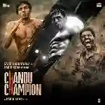 Chandu Champion 2024 cover image